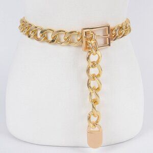 Chain Link Belt